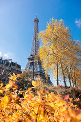 Paris, Eiffel tower on a Autumn day