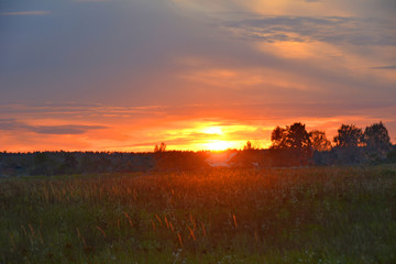 Sunset in the field