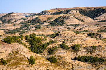 Theodore Roosevelt National Park