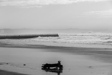Beach Pier Waves