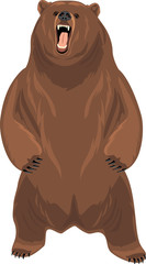 Obraz premium Grizzly bear
