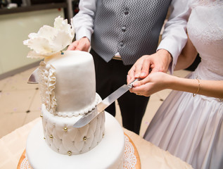 Obraz na płótnie Canvas Groom holds bride hand to cut a cake