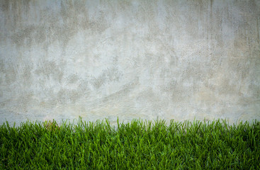 Vintage background of green grass frame and concrete wall texture. Grunge vintage background of...