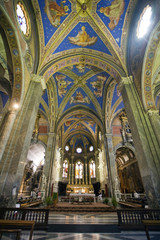 Celing and main nave of Santa Maria Sopra Minerva Basilica, Rome