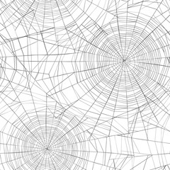 Halloween seamless pattern. Spider web background.