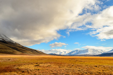 Brown vegetation amongst snow covered hills in Svalbard