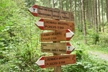 Segnaletica nel bosco