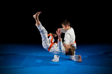Little boys martial arts fighters