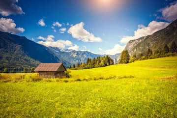 Obraz premium Triglav national park Slovenia