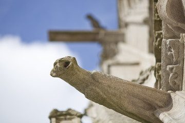 Gargoyle, Cathedral of Quimper, departament of Finistere, region of Brittany, France