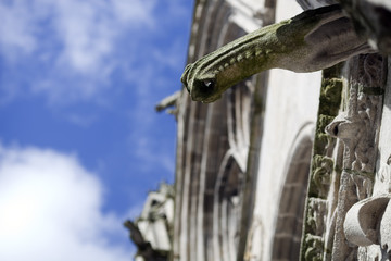 Gargoyle, Cathedral of Quimper, departament of Finistere, region of Brittany, France