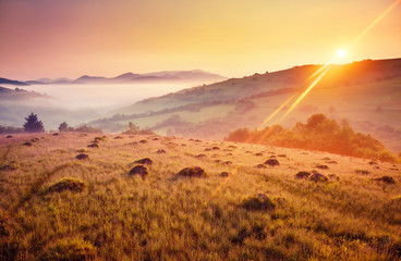 Majestic summer landscape