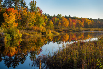 Fototapeta na wymiar Early October, late golden afternoon sunshine on Cory Lake in Chalk River Ontario, Canada.