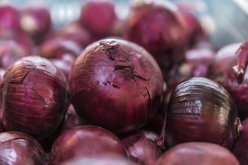Image of several red onion fruit closeup