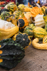 decorative pumpkin