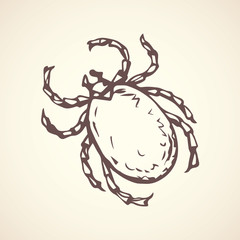 Mite. Vector drawing