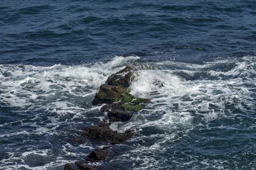 Moss covered rock and reef