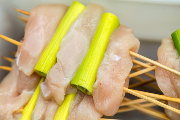 barbecue with delicious grilled meat and leek