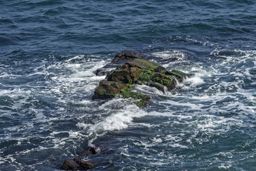 Moss covered rock and reef