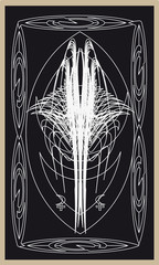 Tarot cards - back design, evil eye
