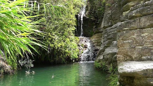 Adonis waterfall, baths. Cyprus.