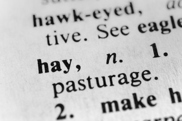 Hay