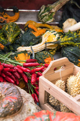 pumpkin varieties with chili peppers and a basket of prickly cucumber