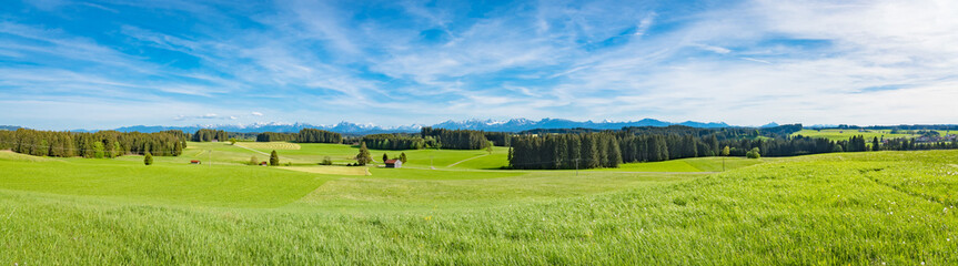 Grüne Wiesenlandschaft im  Allgäu, Panorama