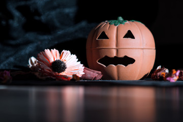 halloween pumpkin, front view, with dried flowers potpourri and black background