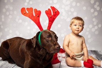 Hund Bewacht das Christkind