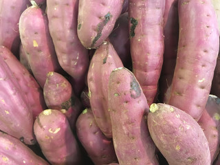 Japanese sweet potato purple raw awaiting burn.