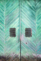 Old wooden door, Brozas, province of Caceres, Spain