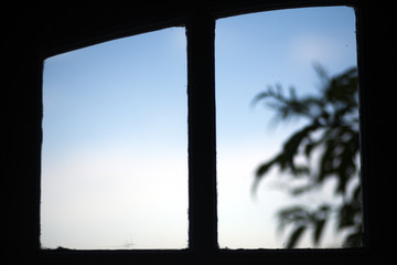 Silhouette of a tree branch through a window, Faro, Portugal
