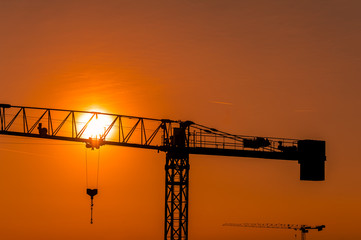 Silhouette Crane on Sunset Background