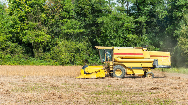 Combine harvester on a soy field