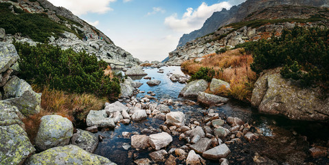 Mountain creek in High Tatras panorama view 