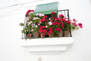 Balcony with flower, Jewish quarter, town of Valencia de Alcantara, province of Caceres, autonomous community of Extremadura, southwestern Spain - obrazy, fototapety, plakaty