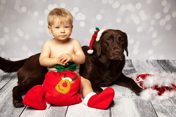 Hund bewacht die Geschenke zu Weihnachten