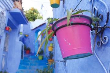 Blue street in Chefchouen, Morocco