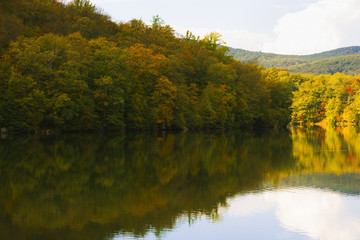 Fall landscape on the forest lake.