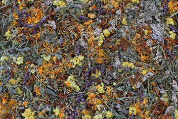 Autumn collage background from a variety of dried meadow grass.