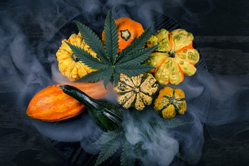 Harvest fall background with gourds and cannabis leaf