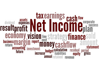 Net Income, word cloud concept 9