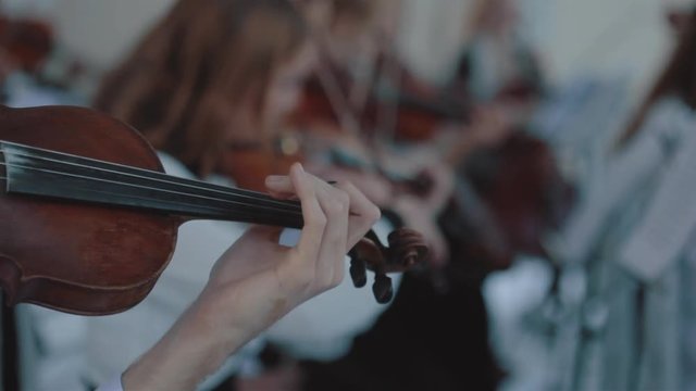 Hand on the strings of a violin