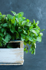 Wooden box with mint on a gray background