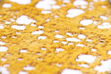 Cannabis oil concentrate aka shatter