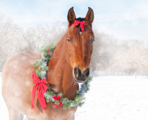 Dreamy image of a red bay horse wearing a Christmas wreath and a bow