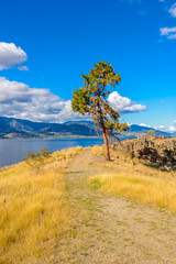 Majestic mountain lake in Canada. Okanagan Lake. Kelowna. Vancouver.