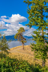 Obraz premium Majestic mountain lake in Canada. Okanagan Lake. Kelowna. Vancouver.