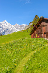 View of beautiful landscape in the Alps with fresh green meadows and snow-capped mountain tops in the background on a sunny day with blue sky and clouds in springtime.